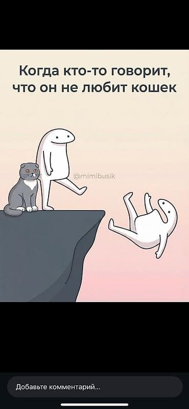 Иттер: Мышык бекер берилет: Ангор, 3 айлык, Ургаачы, Лотокко барууга үйрөтүлгөн — 3