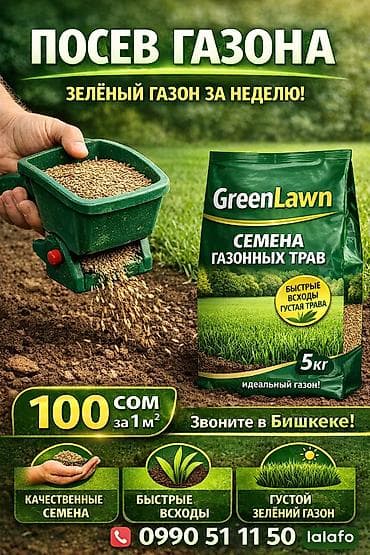 футбольный газон цена бишкек: 🌿 ИДЕАЛЬНЫЙ ГАЗОН ЗА 1–2 ДНЯ В БИШКЕКЕ 🌿 Хотите красивый зелёный двор — 1