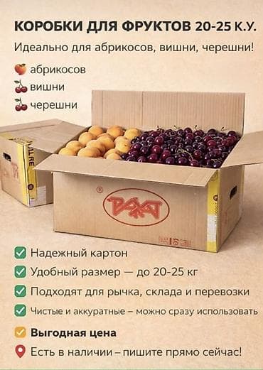 Коробки для фруктов 20–25 кг Б/у, как новые - Идеальны для абрикосов at lalafo.kg Коробки для фруктов 20–25 кг Б/у, как новые - Идеальны для абрикосов