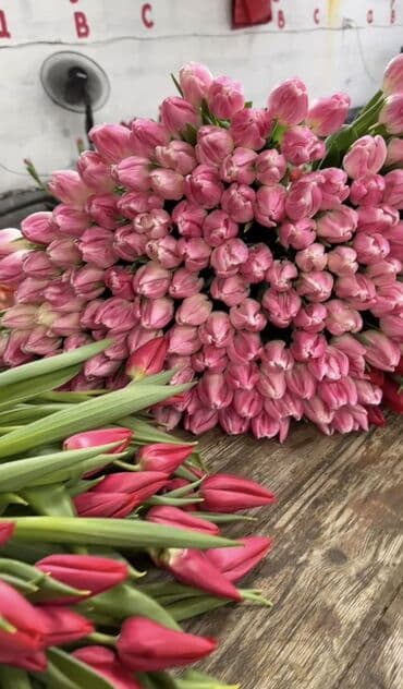 Гирлянды: Тюльпаны Оптом 🌼️ Хочешь покорить сердца миллионами улыбок? Начни с — 1