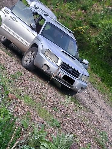 форестер субаро: Subaru Forester: 2004 г., 2 л, Автомат, Бензин, Кроссовер — 3