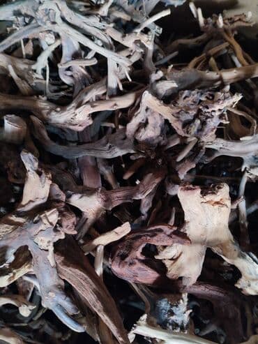 аквариумная рыбка: Коряги натуральные для аквариума — 2