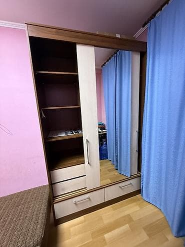 Мебель: Шкаф купе, С зеркалом, ЛДСП — 1