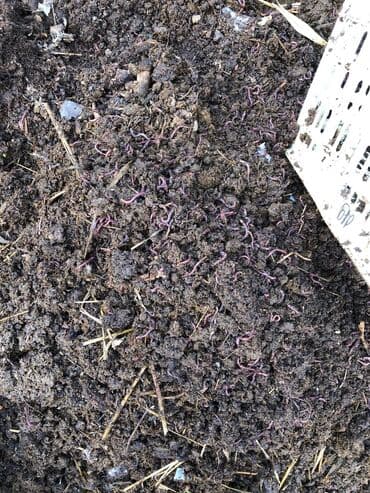 макаруны от сабины бишкек цена: Жер семирткич Гумус, Өзү алып кетүү, Акылуу жеткирүү — 3