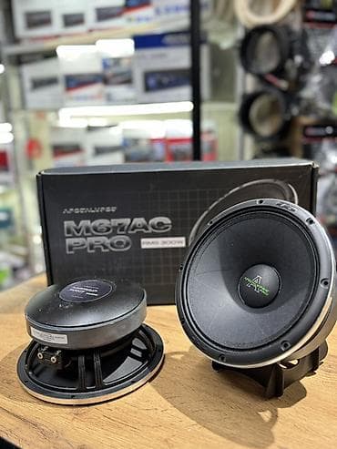 16 lt: Легендарная серия Deaf Bonce Apocalypse M67AC PRO Арнольд - Тип: пара — 10