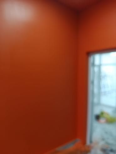 Услуги по строительству и ремонту: Покраска наружных стен, На водной основе, Больше 6 лет опыта — 5