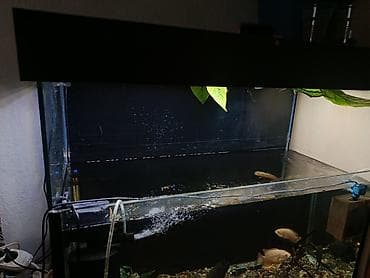 Аквариумдар: Продается готовый аквариум «под ключ» (165 литров) со всем содержимым! — 3