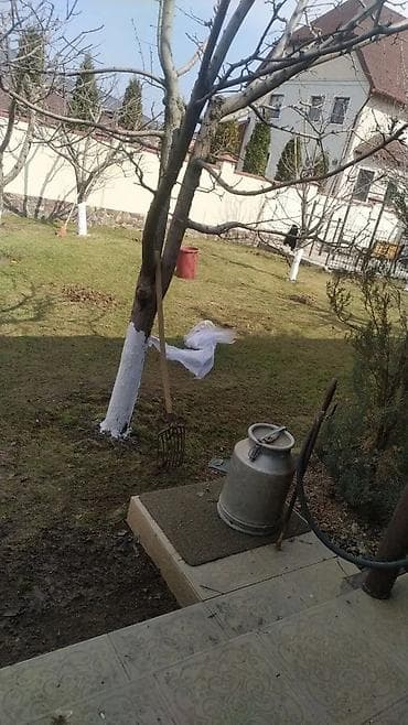 Уборка помещений: Уборка территории, Уборка двора и сада — 4