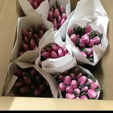 голландский роза: Организация мероприятий | Букеты, флористика — 2