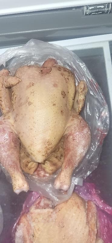 Домашняя курица кг 300 доставка по бишкеку,сокулуку и самовывоз