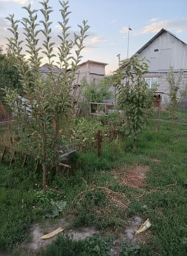 Комнаты: Дом, 44 м², 3 комнаты, Собственник, Старый ремонт — 1