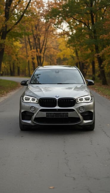 BMW X5 M: 2017 г., 4.4 л, Автомат, Бензин, Внедорожник