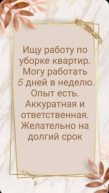 Резюмелер: Тазалоочу - Аял, Тажрыйбалуу — 1