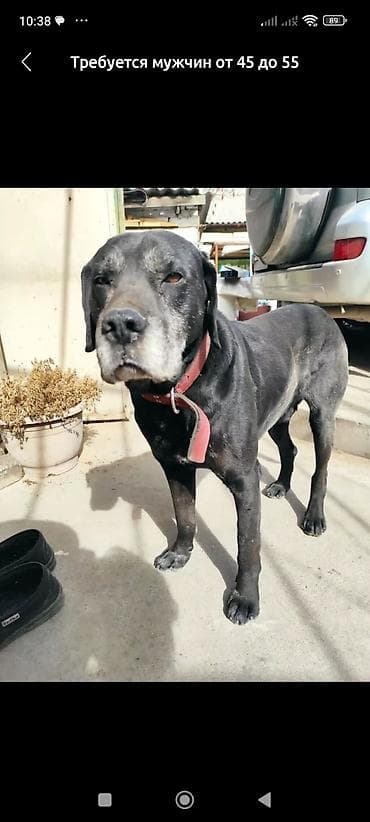 Требуется мужчина от 45 до 55 лет.Основная работа варить кашу для