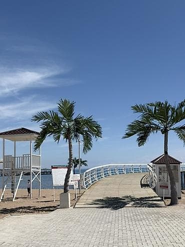 кок жар ж м: Коттедж, 9/1 VIP | Palm Beach, Чок-Тал, Балдар аянтчасы, Унаа токтотуучу жай, унаа туруучу жай, Коргоодогу аймак — 10