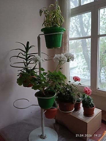 macbook pro 15: Алюминиевая мантоварка Алюминиевый таз для варки варенья и соленья — 7