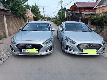 2500: Аренда авто на сутки — 2