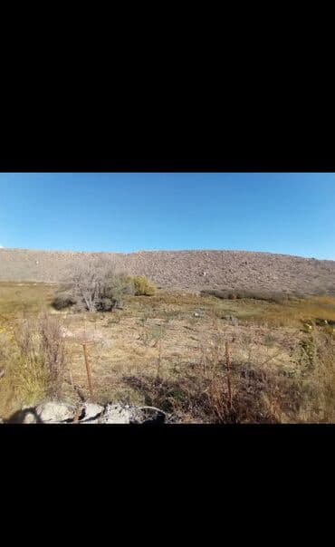 меняю на скот: Продается действующий бизнес кашар вместе с садом для разведения скота — 7