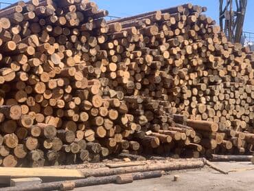 Продаем кругляк кругляки сорт сосна, диаметр от 10 см, цена от