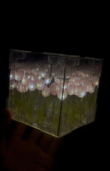 Бесконечные тюльпаны в бишкеке!! at lalafo.kg Бесконечные тюльпаны в бишкеке!!