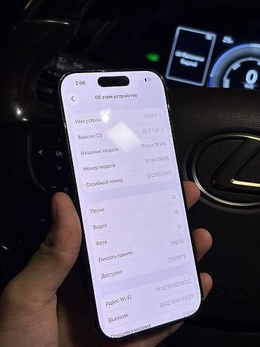 google p: IPhone 16 Pro, 256 ГБ, Черный, 89 % — 3