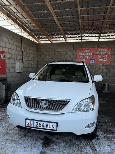 Lexus RX: 2004 г., 3.3 л, Автомат, Бензин, Кроссовер