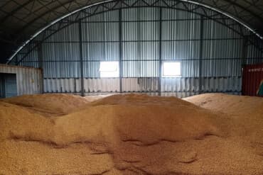 кошка домик: Продаю кукурузу 10-30 т. жүгөрү — 1