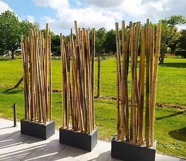 Бамбук: Бамбуковые палки для сада и декора. Иссык - Куль. Длина 3, 50 метра до — 4