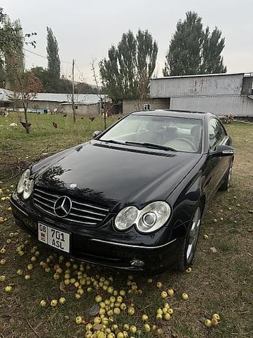 Mercedes-Benz CLK-Class: 2003 г., 5.5 л, Автомат, Бензин, Купе — 5