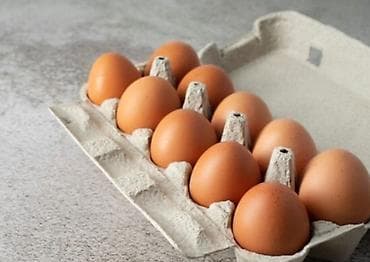 скупка кур: Свежие куриные яйца домашние - Натуральные яйца от домашних несушек — 2