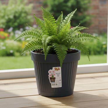 Горшок для цветов с поддоном «Рим» ddStyle🇷🇺 1.4л - 135 сом 2.3л -