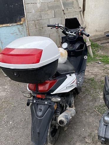 daf 95xf: Продаю самурай 150 куб. Пластика все на месте. Состояние хорошая — 3