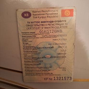 Эндуро Минск, 250 куб. см, Бензин, Взрослый, Б/у — 2