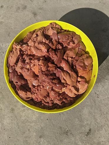 Свежие субпродукты и заготовки для кулинарии - Куриная печень — 1