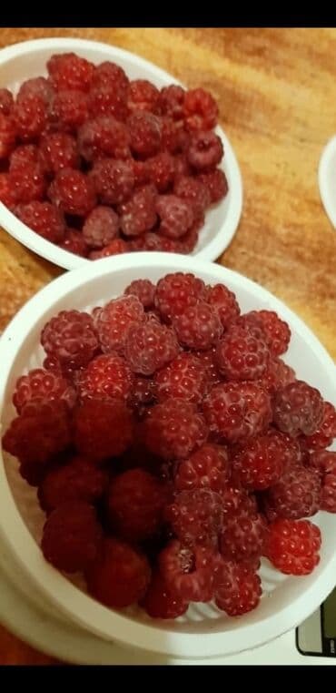 Садовые инструменты и инвентарь: Продаю саженцы ремонтантной малины.
Новопавловка — 6