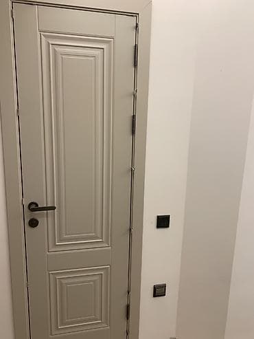 входные двери для дома: Установка Дверей межкомнатные и выходные по современным инструментом — 9