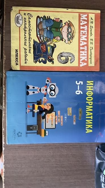 Учебные пособия для средней школы (2 книги): 1) Математика. 6 класс —