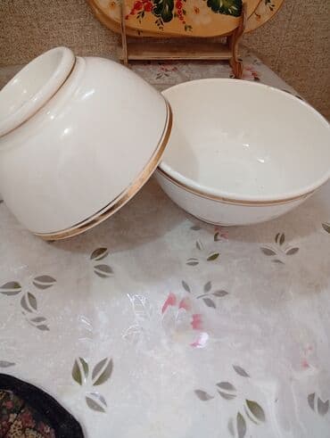 ассортимент офисной мебели: Мягкое кресло + компактная ТВ-тумба + комнатное растение (фикус — 4