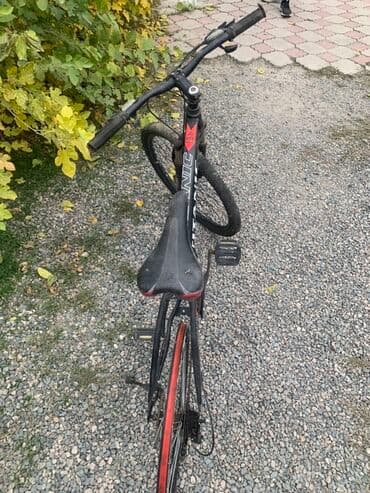 горный велосипед с широкими колесами: Горный велосипед, Рама M (156 - 178 см), Сталь — 2