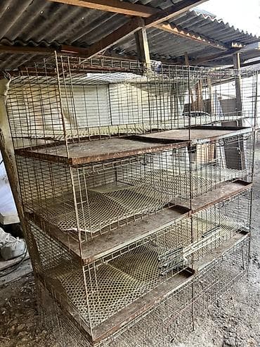 для бройлеров: 8 ярусные металлические клетки для выращивания цыплятбройлеров и — 2