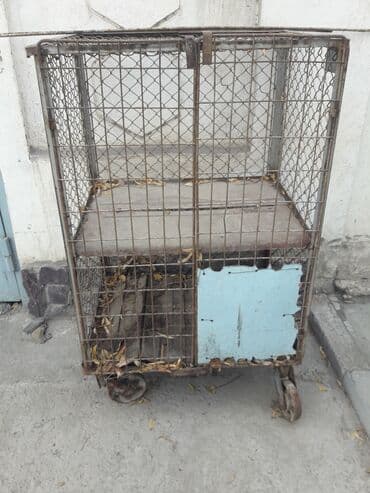 Клетки (есть 2шт),ящики 200-300сом