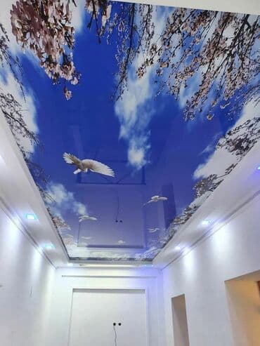 алюкобонд бишкек цена: Керме шыптар Жылтырак, Жылтырабаган, 3D потолоктор Кепилдиги, Акысыз консультация, Акысыз ченөө — 25