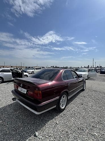 м52: BMW 525: 1994 г., 2.5 л, Механика, Бензин — 2