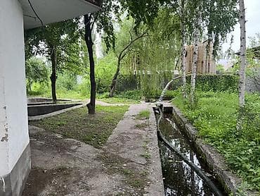 дом на продаж: Здание, С оборудованием, Действующий 500 м² — 8
