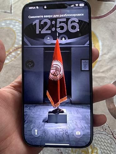 IPhone 16 Pro Max, Б/у, 256 ГБ, Natural Titanium, Кабель, Чехол, 91 %