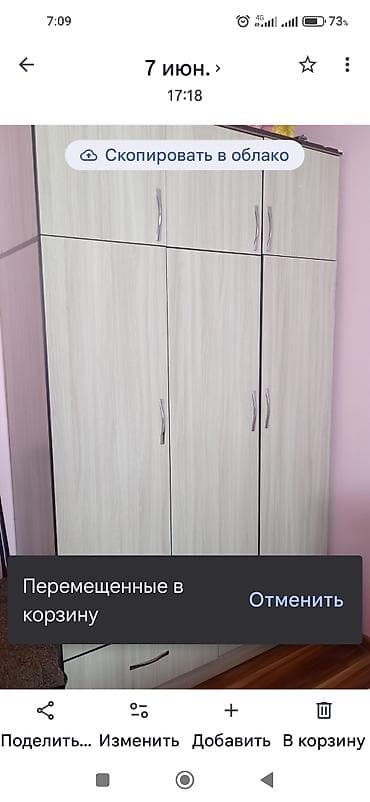 продам лук: Шифоньер, шкаф для одежды, Прямой, ЛДСП — 1