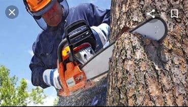 работа бишкеке 55 для женщин: Работа нужны разнорабочие. От 25 лет до 35 лет. В День . С 8:00 — 3