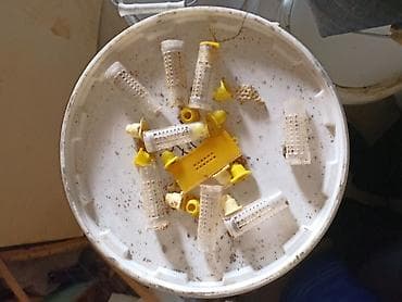 Зажимные инструменты: Медогонка радиальная 24/48 рам, 220 В, «Грановского» - Электропривод — 9