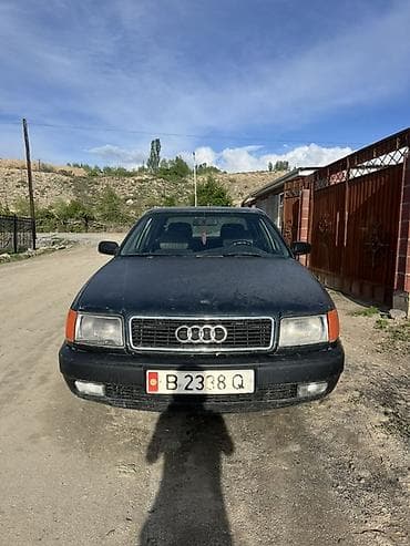 афто чихол: Audi 100: 1991 г., 2.3 л, Седан — 1