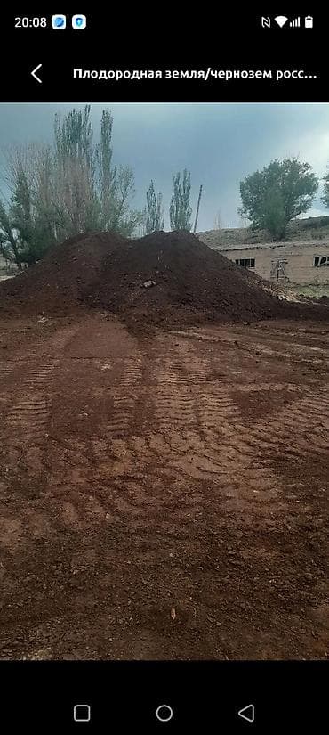 чернозём купить: Чернозём горный — плодородная почва для огородов, теплиц, газонов и — 9